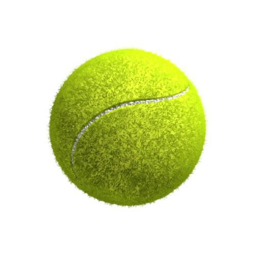Tennis ball preview image